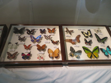 134_1_1_1_20140604092640fe5