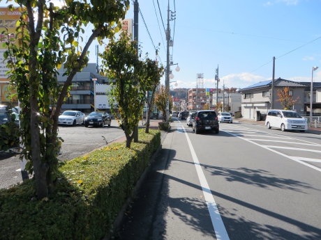 和田橋通りに自転車レーンとマナーの悪い高校生