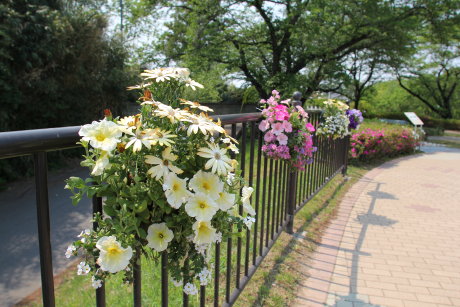 花と緑のぐんまづくり 2013 in 伊勢崎へ