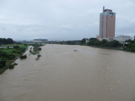 大雨で利根川も増水