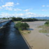 利根川増水してました