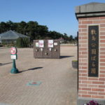 ばら園のばらは、まだ見頃