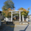 鏡神社で菊花大会