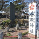菅原神社の白梅