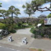 藤が咲きだした「須賀の園」