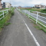 井野川サイクリングロードを通って