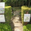 ヤマトビオトープ園には自然がいっぱい