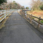 久しぶりの井野川サイクリングロード