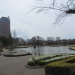 前橋公園の桜は・・・