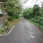 利根川サイクリングロードにトラックが