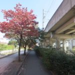 コーエィ前橋フットボールセンターまでサイクリング