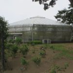 ばら園の温室