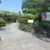 須賀の園には白いノダフジとヤエコクリュウ