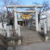 今年も鏡神社の河津桜は