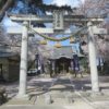 桜満開の雷電神社