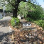 石倉町緑地公園に百合の花