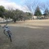市之坪公園の河津桜は、つぼみを