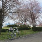 吉岡町、サイクリングロード沿いのしだれ桜