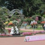敷島公園ばら園は華やか