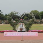 春のばら園まつりが終わる前に