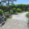 須賀の園の藤も終わり