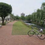 広瀬川河畔を散策