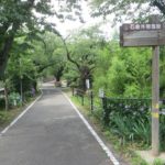 石倉町の緑公園は紫陽花が見頃に