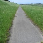 桃ノ木川サイクリングロード