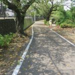 ハチで通行止め