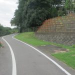 南部大橋近くの彼岸花