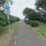 玉村町のコスモスは・・・