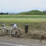 コスモスの様子を見に二子山古墳へ