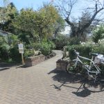 秋のシンフォニーガーデン