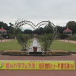 秋のバラフェスタ開催中のバラ園に