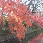 高崎城址の紅葉