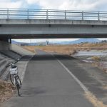 冬の桃ノ木川サイクリングロード