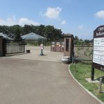 敷島公園ばら園の牡丹