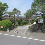 藤の花が咲きだした須賀の園