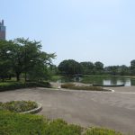 前橋公園でホタルが見られます