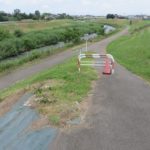 夏の桃ノ木川サイクリングロードは