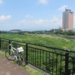 イノシシ出没注意？