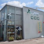 ルーフテラスの妖精