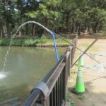 ばら園隣の池は暑さ対策で