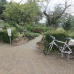 夏の終わりのシンフォニーガーデン