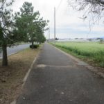 上野国分寺跡近くにそば畑