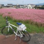 吉岡町の赤そば