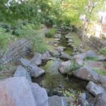 秋の城址親水公園