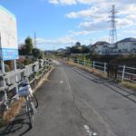 井野神社の大イチョウの黄葉は
