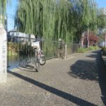 広瀬川河畔の紅葉