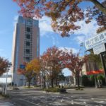 県庁前通りの紅葉